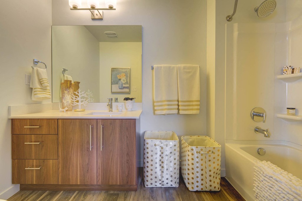 a bathroom with a sink and a bathtub
