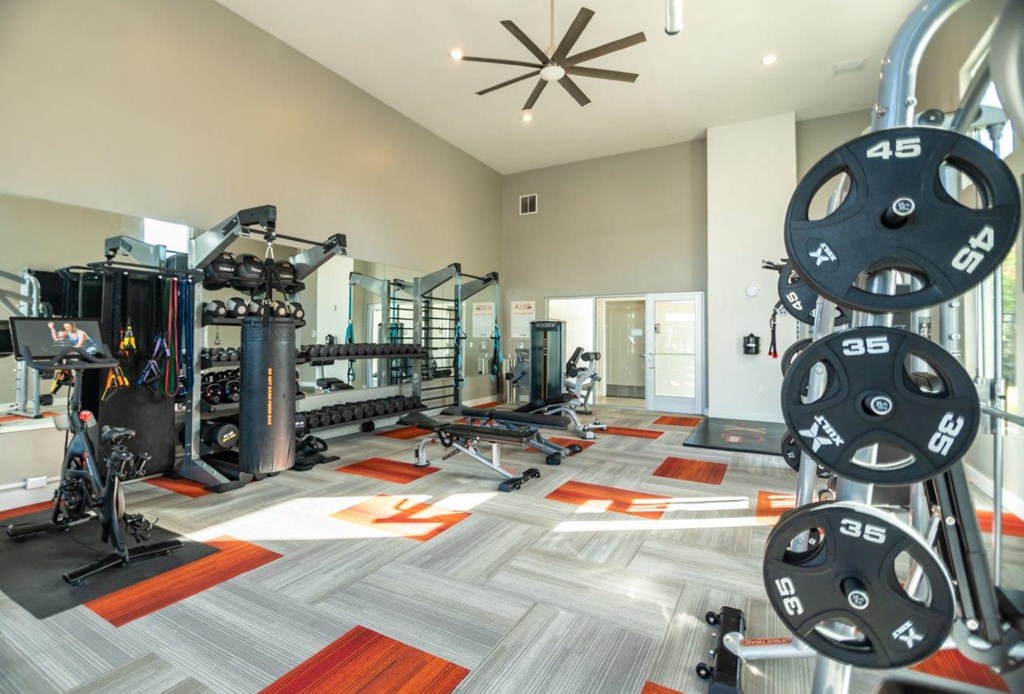 Axio 8400 Fitness Center