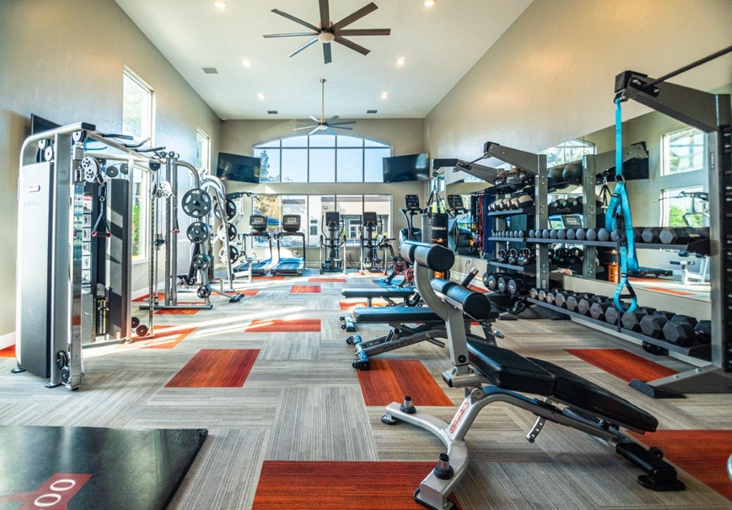 Axio 8400 Fitness Center