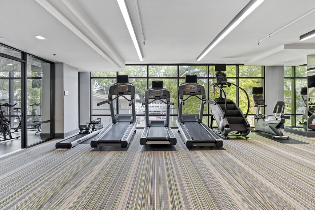 A gym with treadmills and elliptical machines.