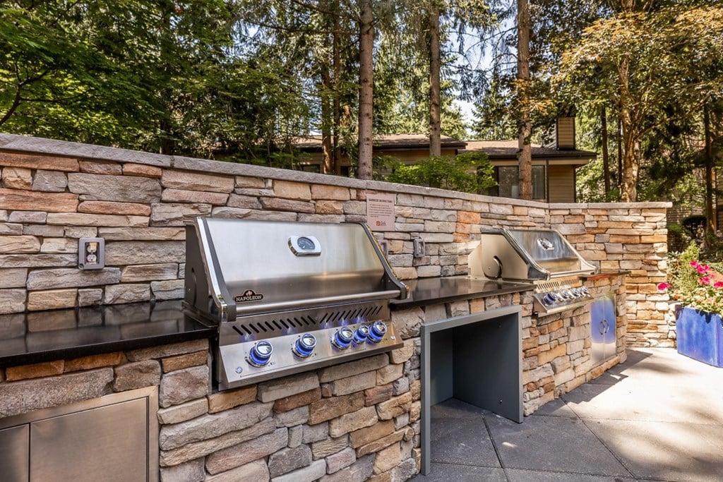 Park Bellevue BBQ Area