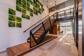 1029 South Jackson Street Studio-2 Beds Apartment for Rent - Photo Gallery 4