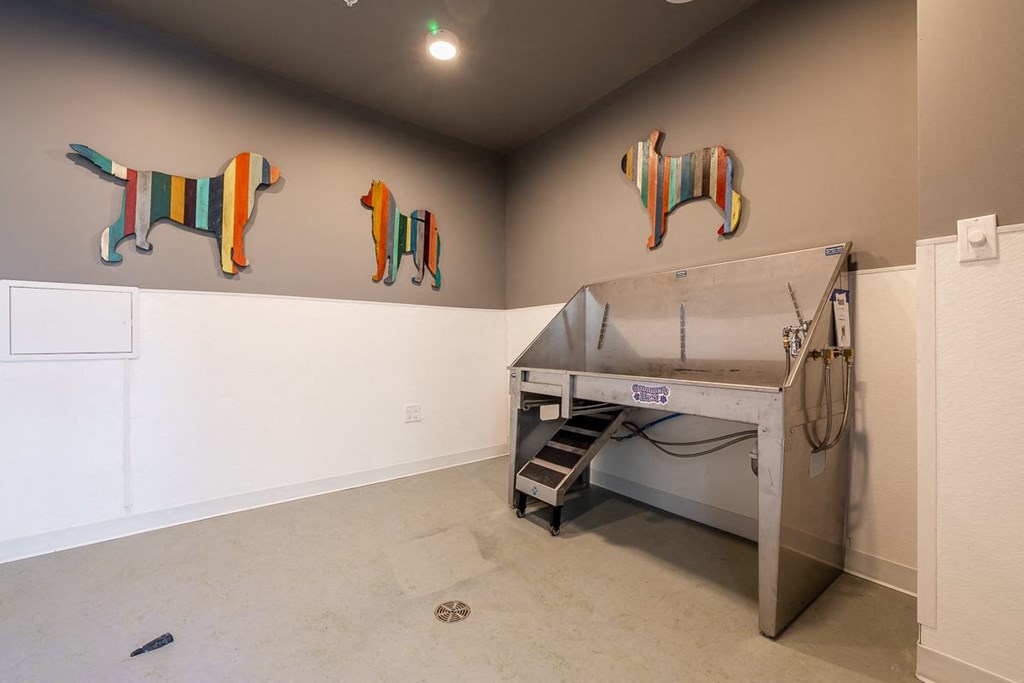 BEAM Apartments Pet Wash