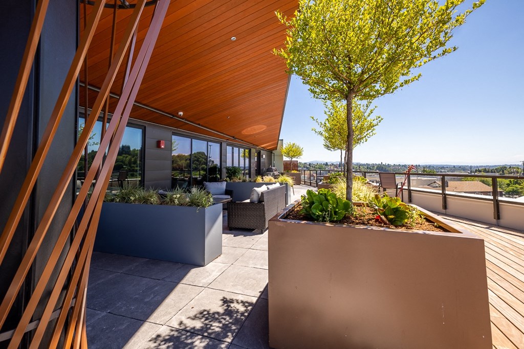 a roof terrace with benches and plants and views of the city