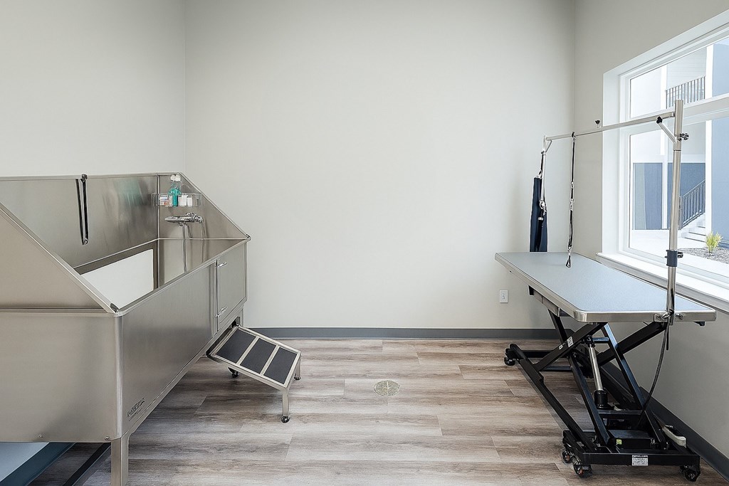 pet washing station with a stainless steel table and a window.