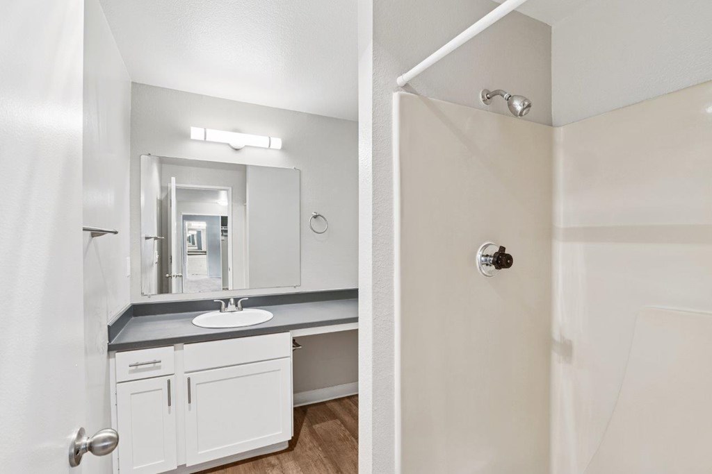 A bathroom with a sink, mirror, and shower.
