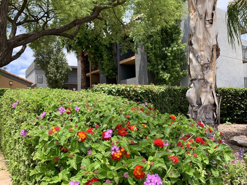 Biltmore on the Lake Apartments building exterior