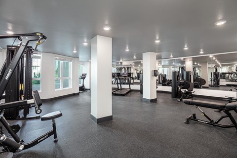 A gym with a variety of equipment including treadmills, weights, and benches.