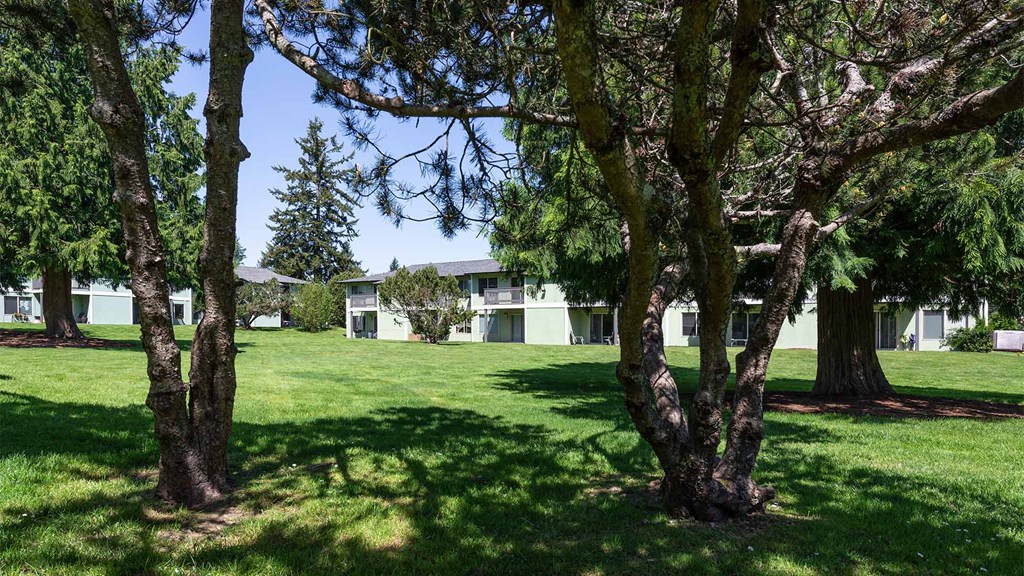 Reserve at Blueberry Park Courtyard with Trees
