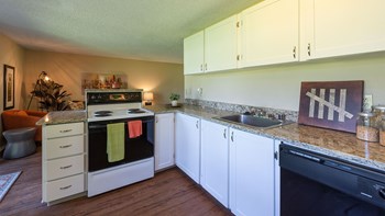 Reserve at Blueberry Park Kitchen with Stove and Sink Reserve at Blueberry Park Kitchen with Stove and Sink - Photo Gallery 6