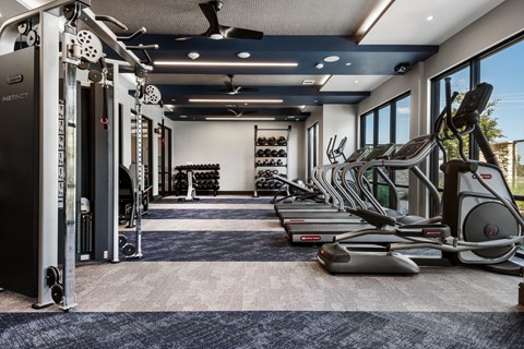 A gym with treadmills, weights, and other exercise equipment.