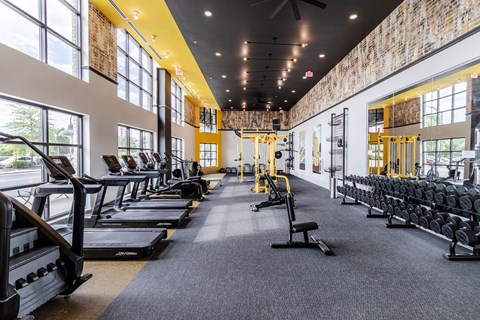a gym with cardio equipment and windows in a building