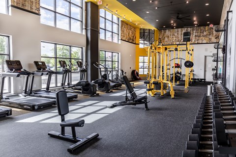 a gym with weights and cardio equipment and windows
