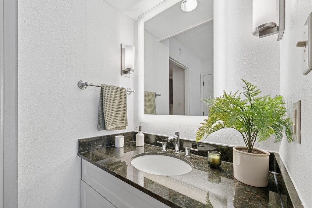 A bathroom with a sink, mirror, and a potted plant.