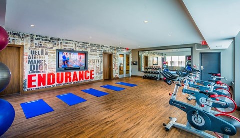 A gym with a variety of equipment including a treadmill, weights, and a bench press.