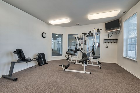 A well-equipped home gym with a variety of exercise machines.