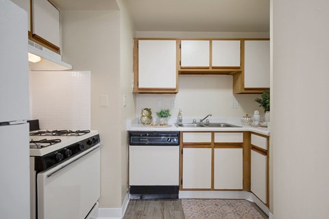 A small kitchen with a white refrigerator and a black dishwasher.