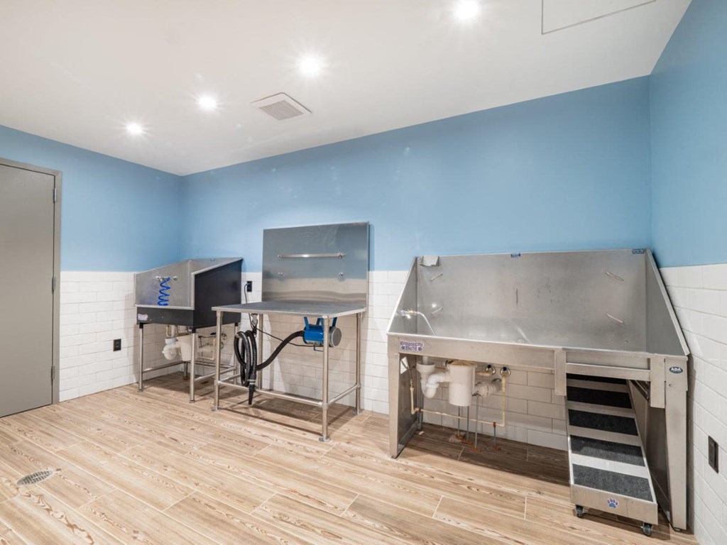 Capitol Rose Luxury Apartments in Washington, DC Dog Wash