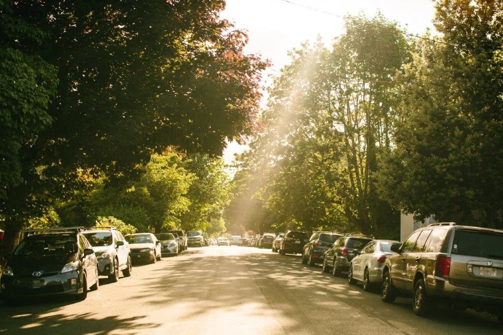 a street with cars parked on both sides and the sun shining through trees