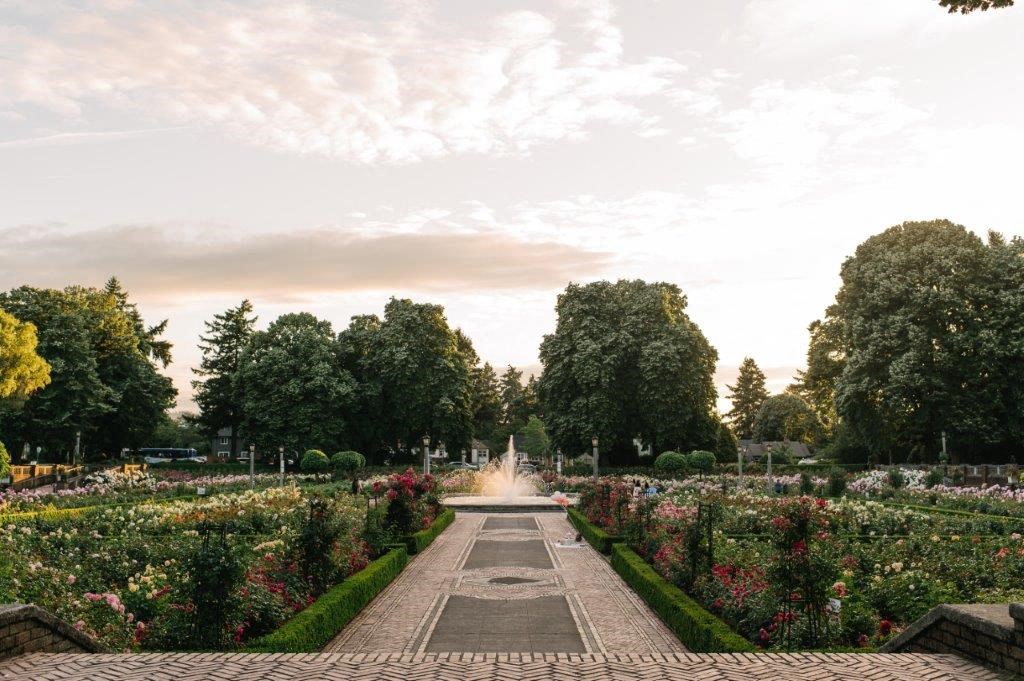 a garden with a fountain in the middle of it
