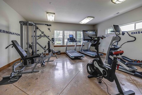 A gym with a row of treadmills and a row of weight machines.