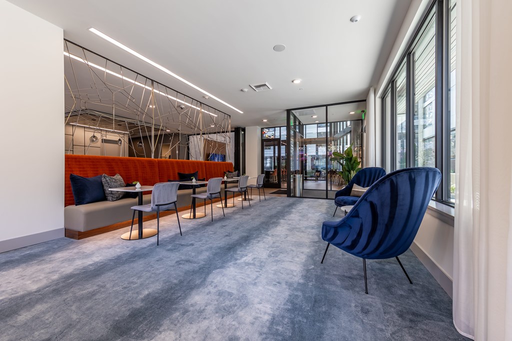 A modern office space with blue chairs and a grey carpet.