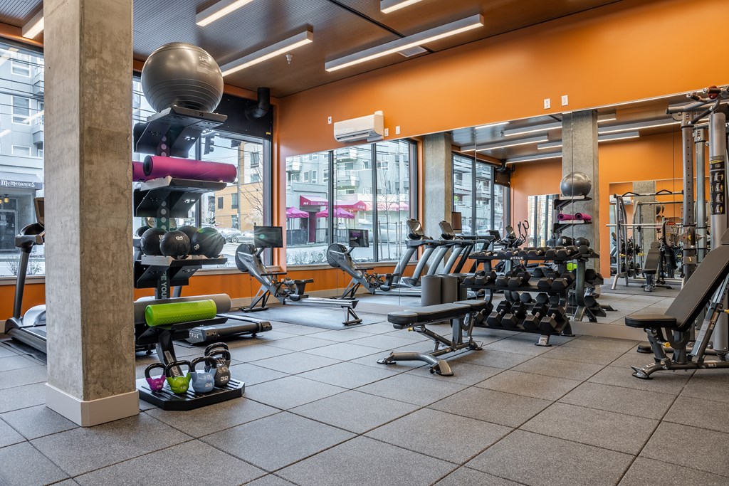 A gym with a variety of equipment including weights and cardio machines.