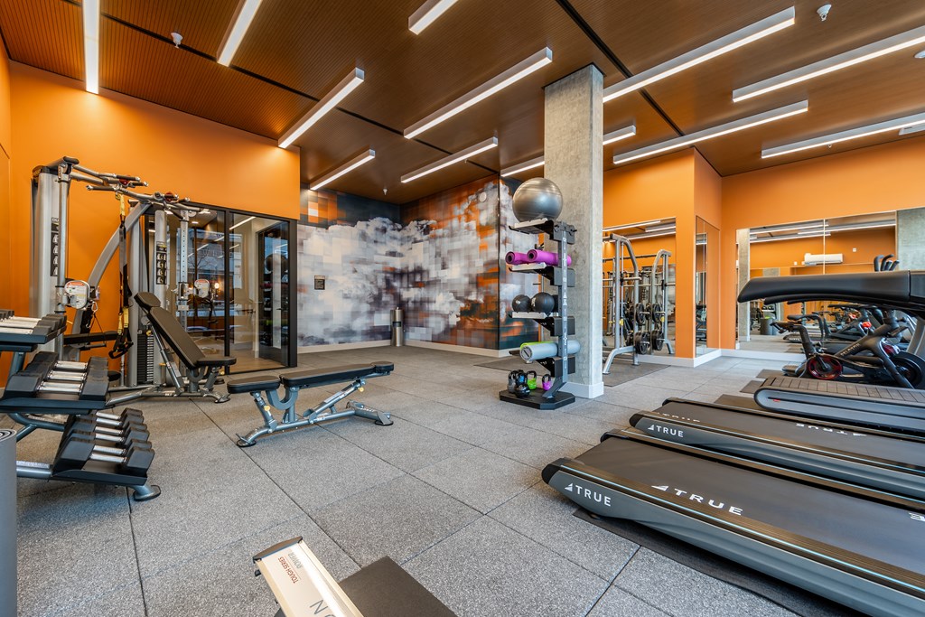 A gym with treadmills, weights, and exercise equipment.