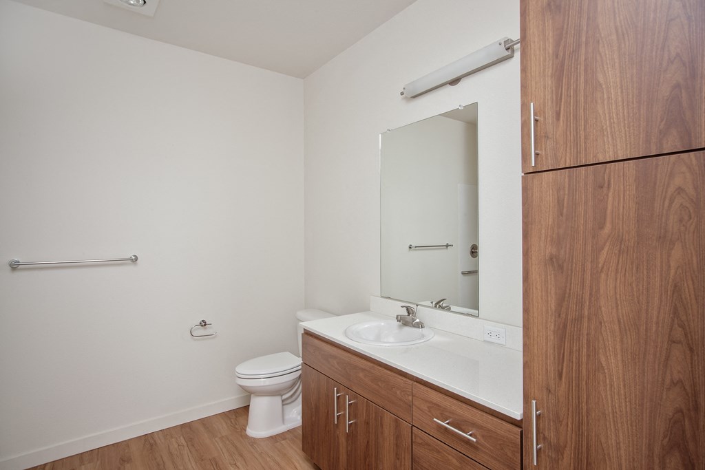a bathroom with a sink and a toilet and a mirror