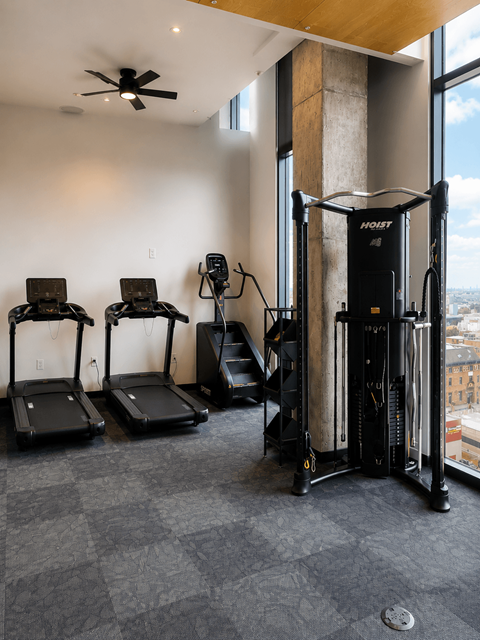 A gym with treadmills, weights and a fan.