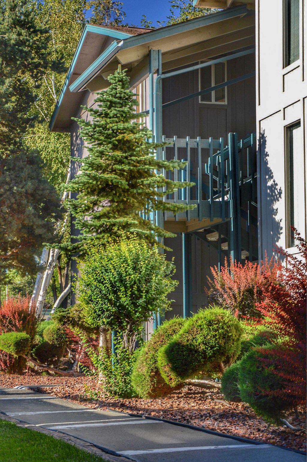 Clearwater Square Apartments Path and Landscaping