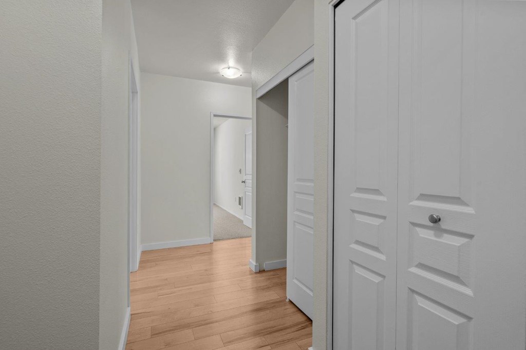 our apartments offer a spacious living room with wood flooring