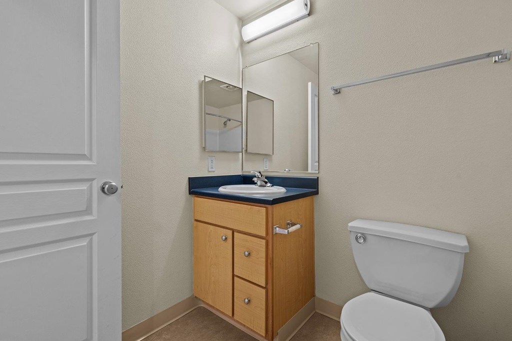 a bathroom with a toilet and a sink and a mirror
