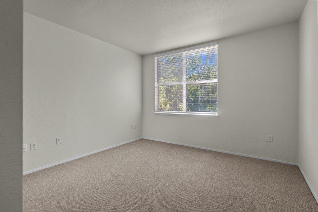 an empty room with a window and carpet