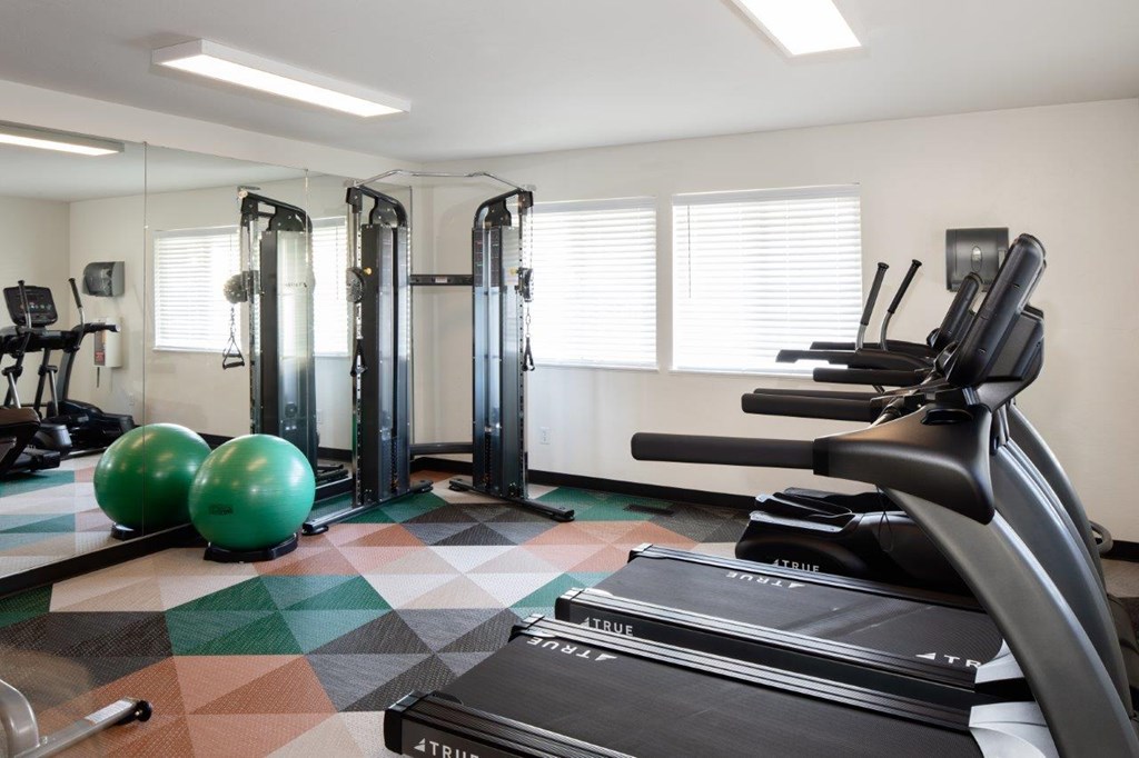 A gym with a treadmill, exercise balls and weights.