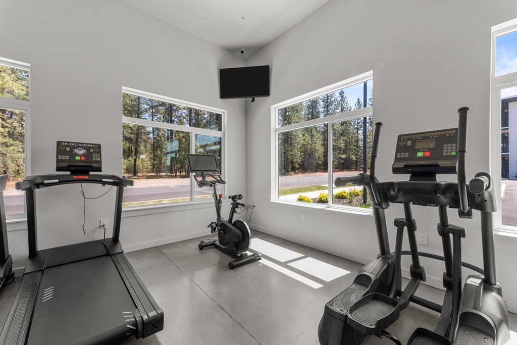 A gym with treadmills and elliptical machines.