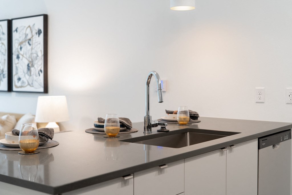 HenleyPlace_Milwaukie_OR_Model_faucet