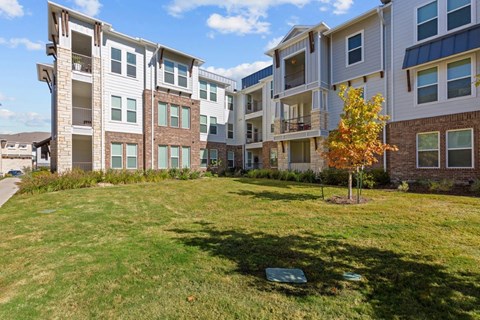 A tree with orange leaves stands in a grassy area in front of apartment buildings.
