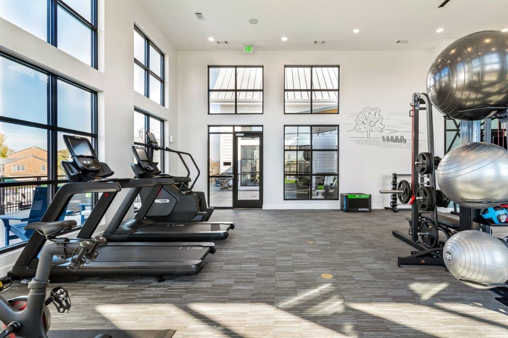 A gym with treadmills, exercise balls, and weights.