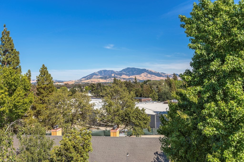 The Crest at Pleasant Hill View of Mountains