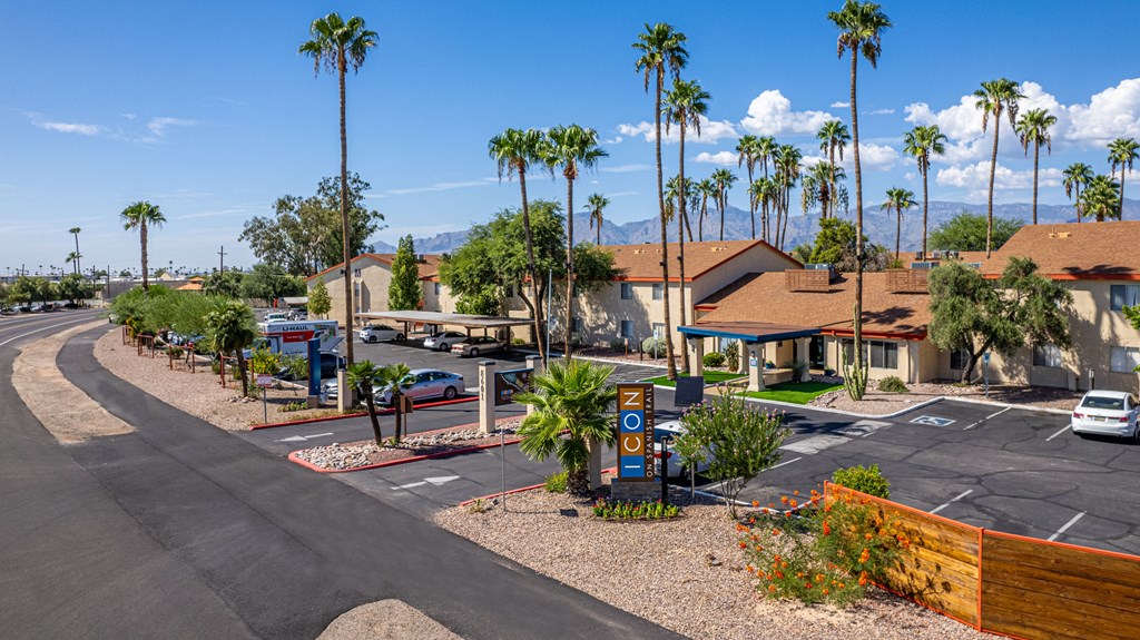 A sunny day at a residential area with palm trees and a clear blue sky.