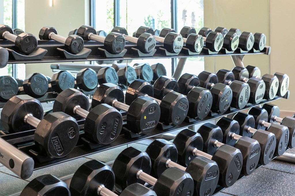 A rack of black dumbbells in a gym.