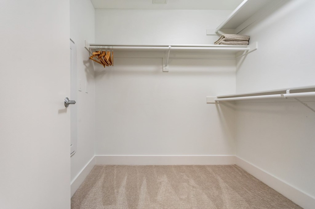 A white closet with a carpeted floor and a door.