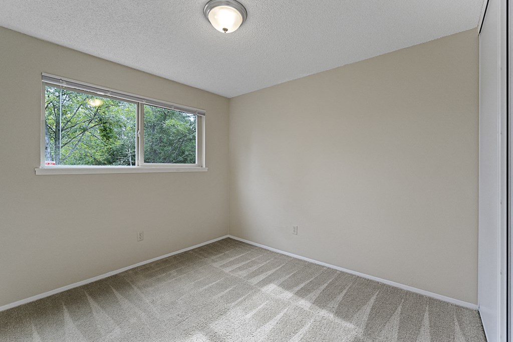 an empty room with a window and a carpeted floor