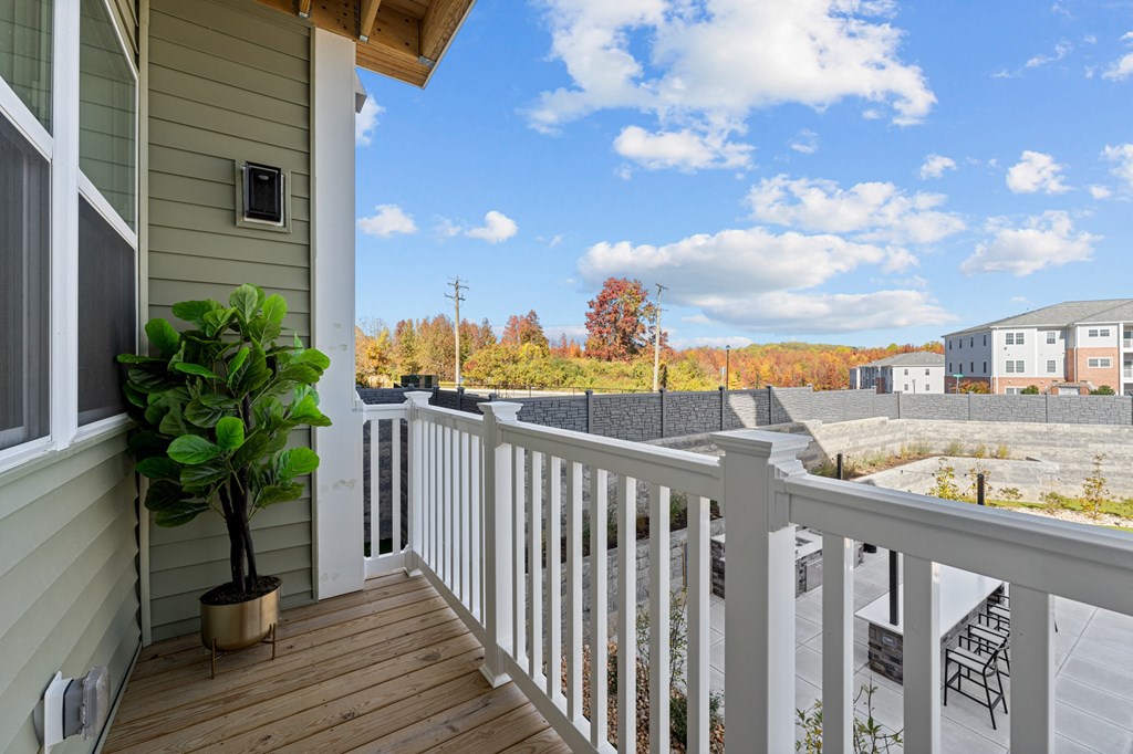 the view from the deck of a home with a potted plant