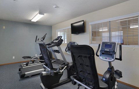 A gym room with treadmills and exercise bikes.