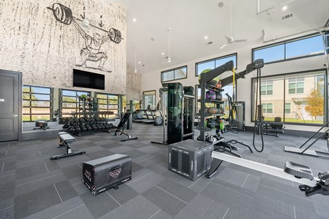 A gym with a variety of equipment including a squat rack, bench, and weights.