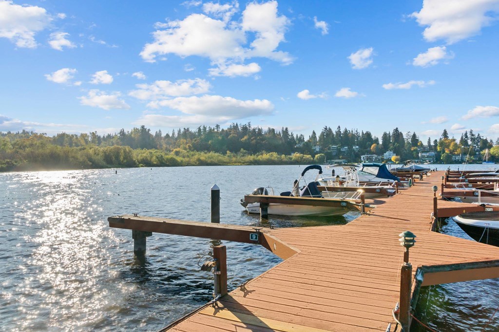 a dock on a lake with boats and trees in the background