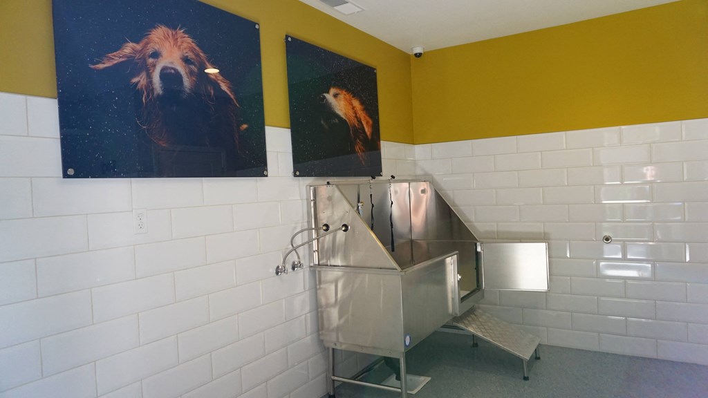 Sagecliff Pet Wash Station