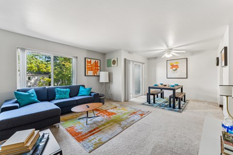 A living room with a grey couch and a rug.